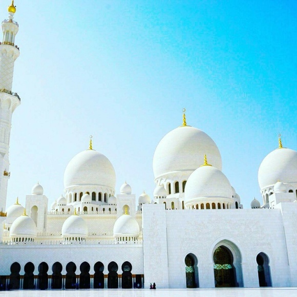 Meet your Posher, Rachel - Picture 5 of 8